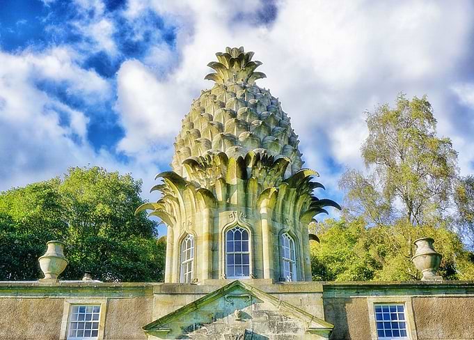 The Pineapple