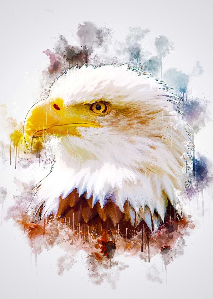 Eagle Head