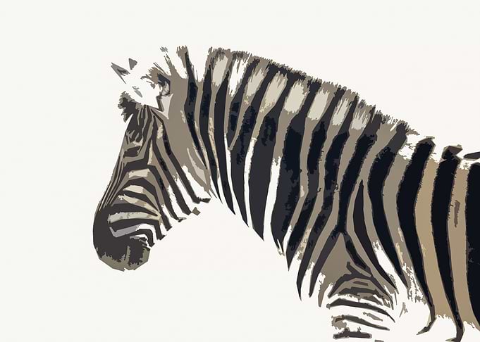 Safari