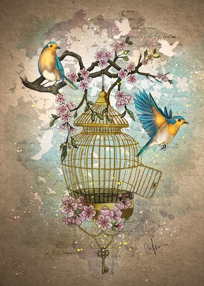 Birds were meant to fly