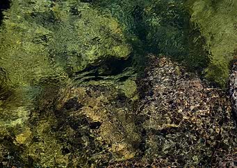 Feather River Portrait