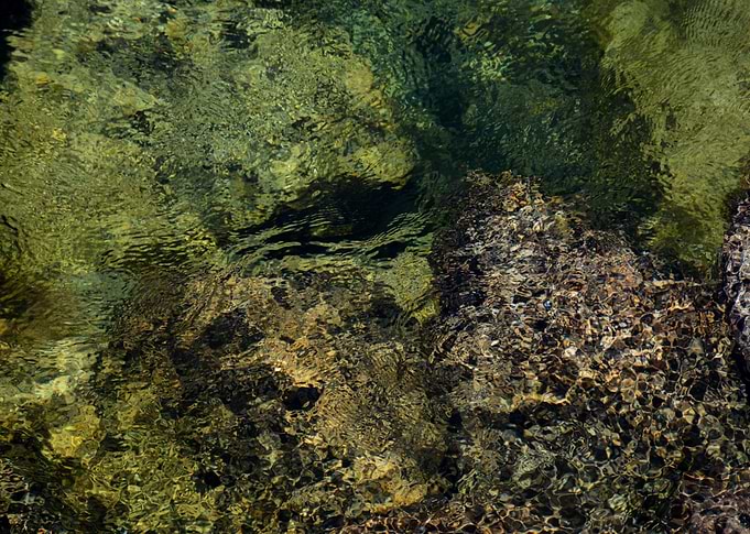 Feather River Portrait