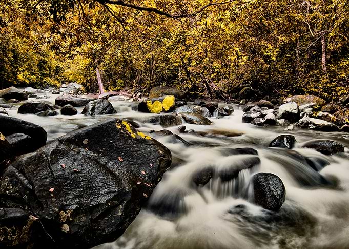 River in autumn
