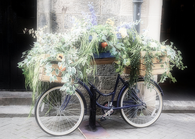 Mobile Garden