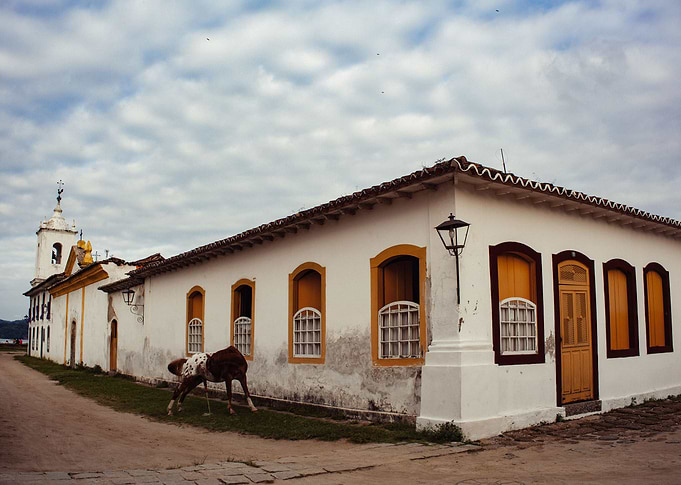 Horse
