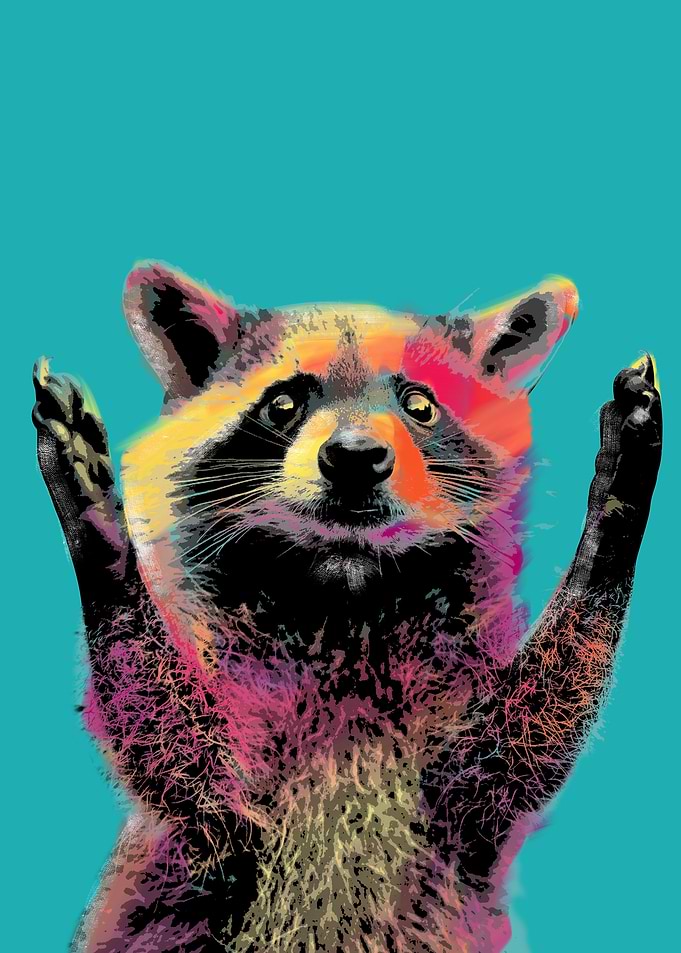 Raccoon