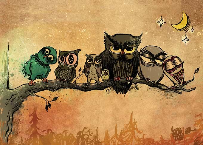 Nighttime Owls