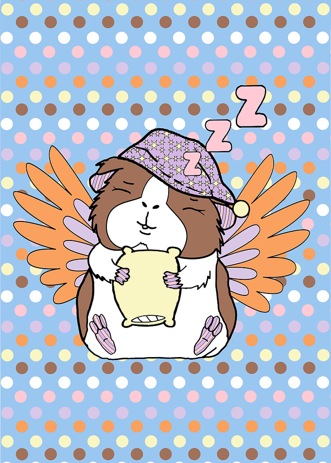 Elegant the Guinea pig 1