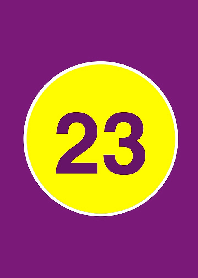 23