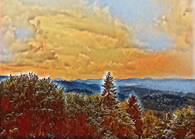autumn forest