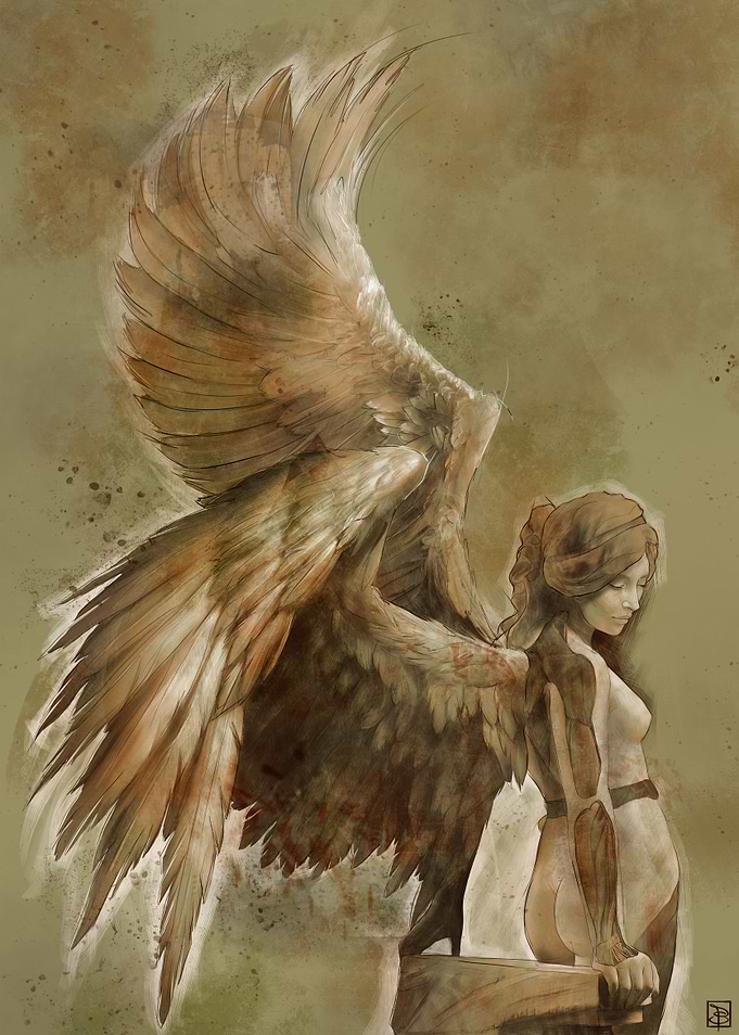 Anatomy of an Angel