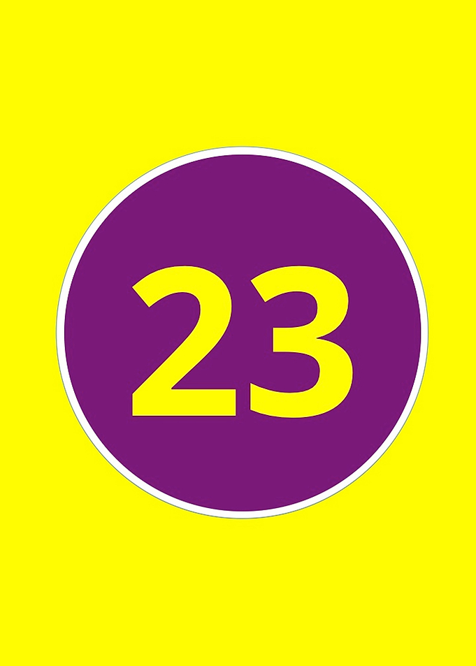 Twenty Three (23)