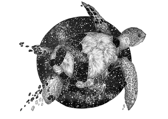 Cosmic Sea Turtle