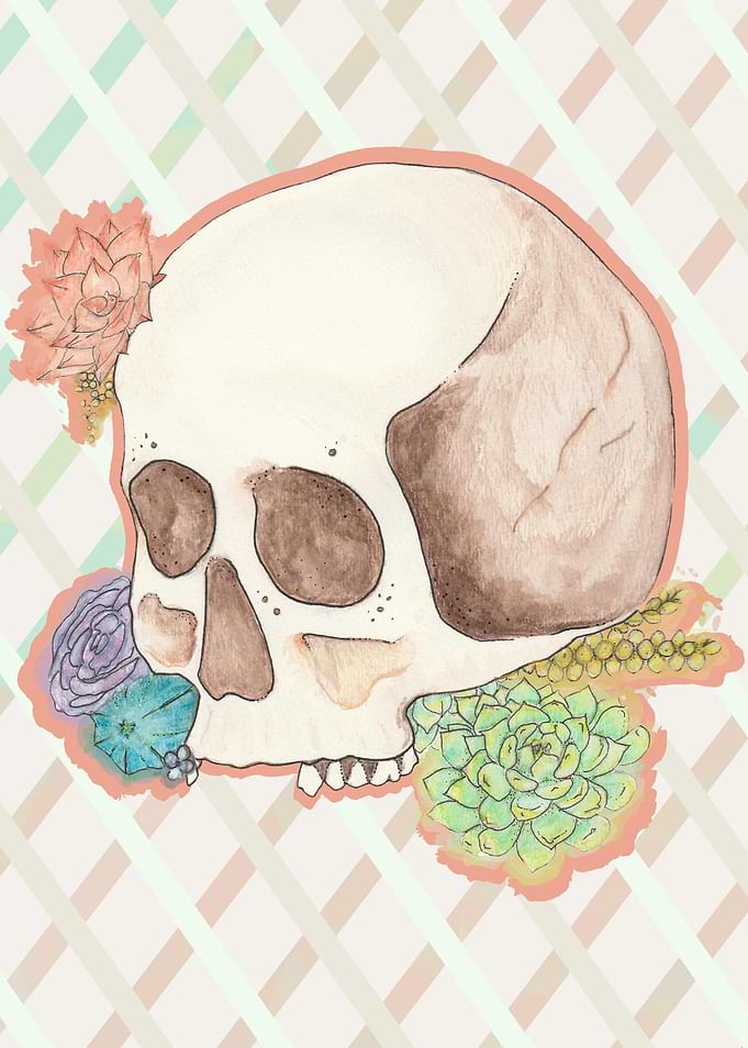 Skull and Succulents