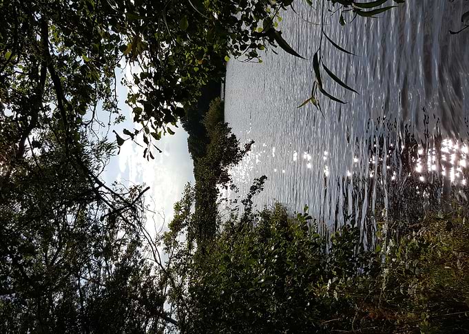 Peaceful Walk