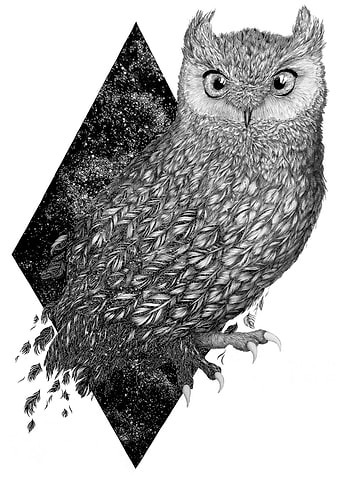 Cosmic Owl