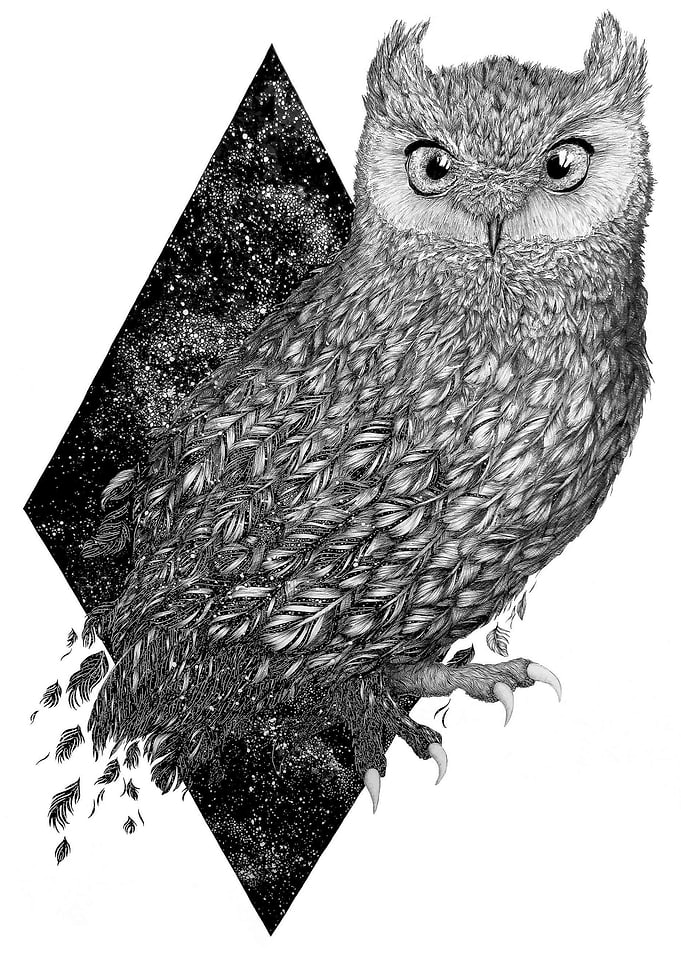 Cosmic Owl
