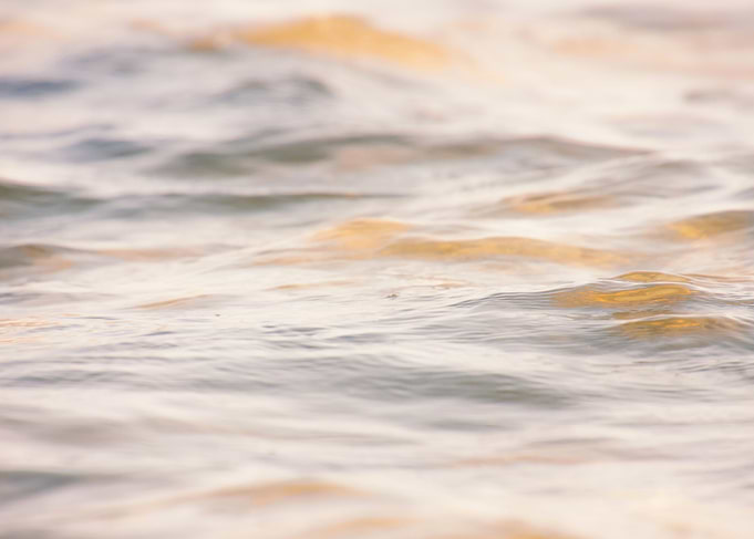 sunset in the water