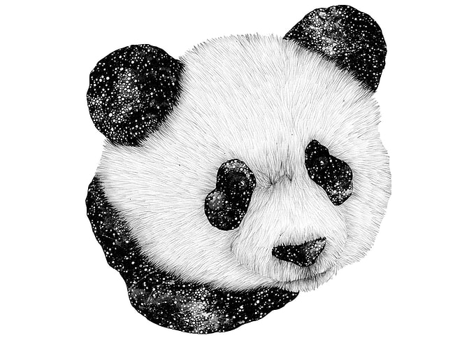Cosmic Panda