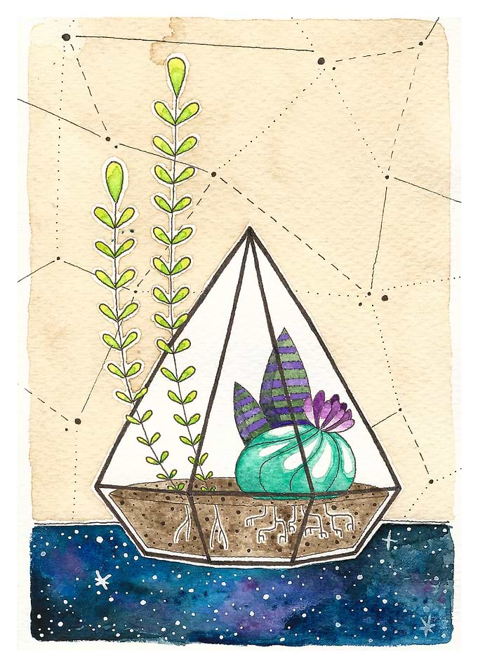 Terrarium on space