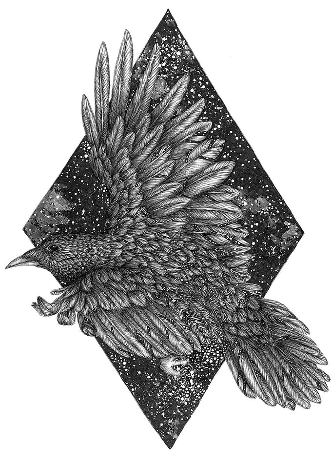 Cosmic Raven