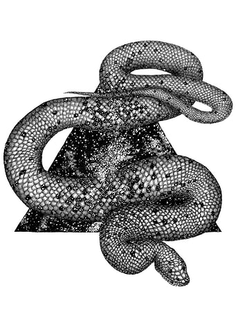 Cosmic Snake