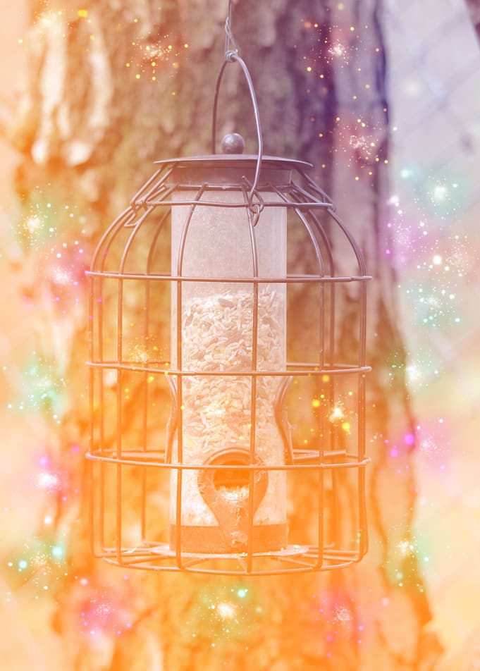 Day Dream