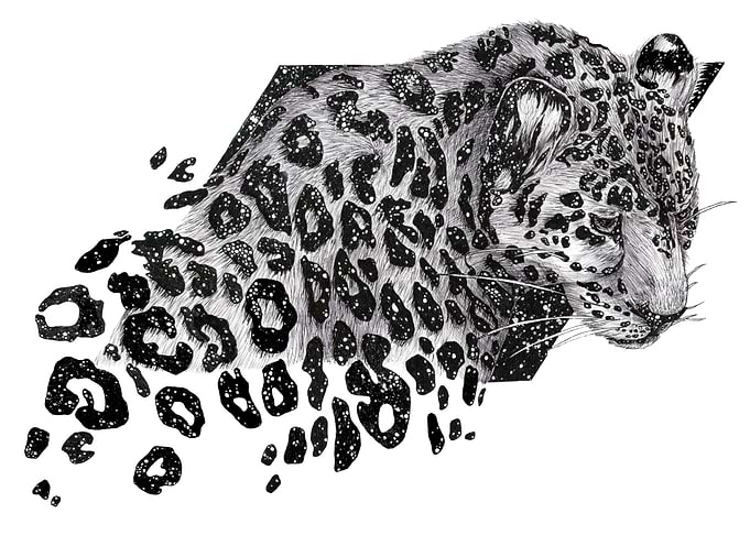 Cosmic Leopard