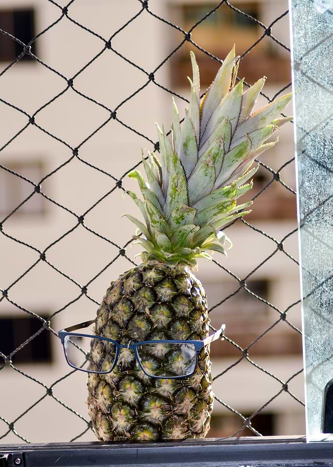 Pineapple Nerd