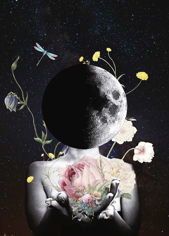 Gifts from the Moon