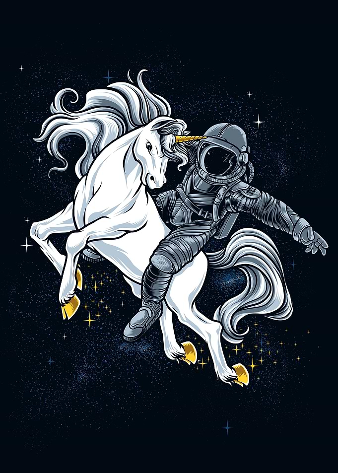 Space Rodeo