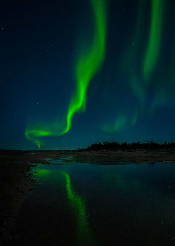 Nights of Wonder