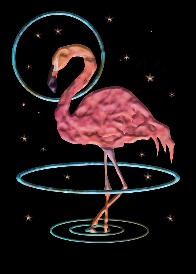 flamingo