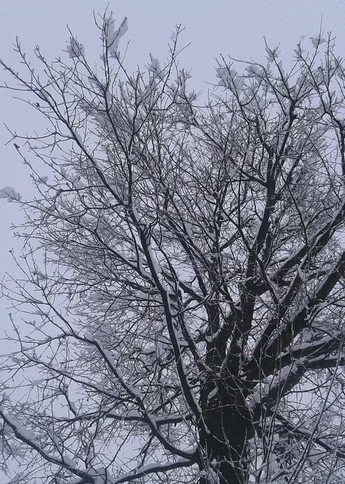nature is beautiful