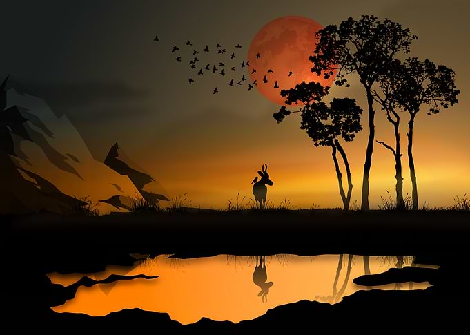 abstract sunset