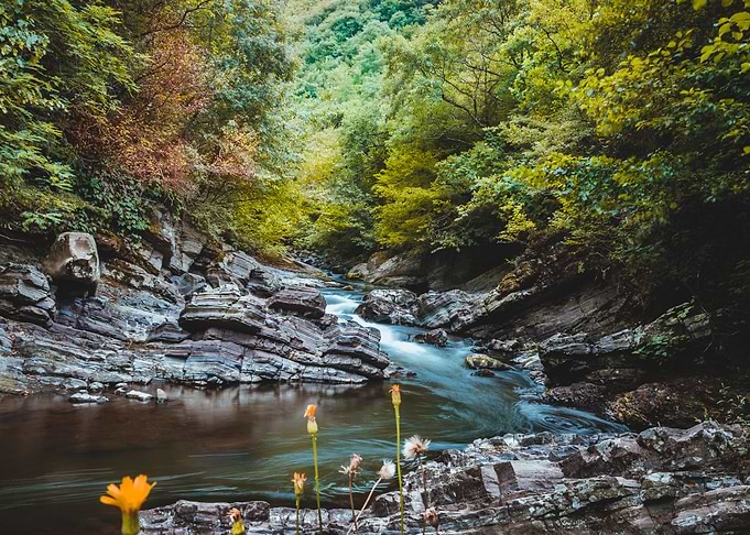 Beauty of Nature