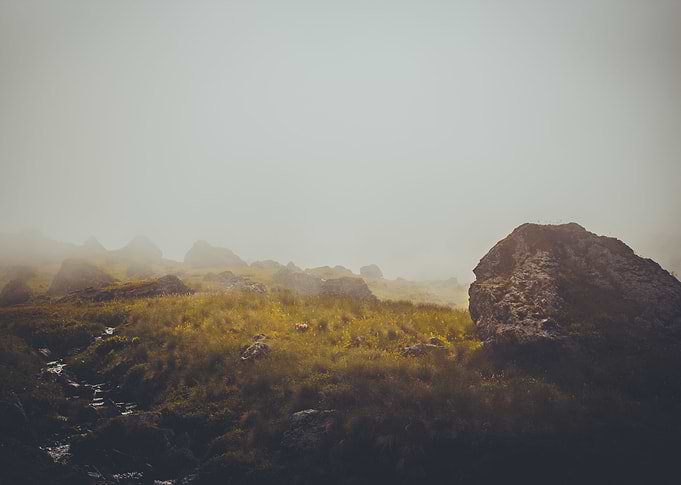 Lost in the Mist