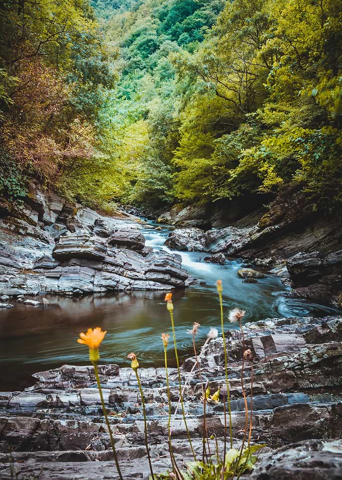 Beauty of Nature