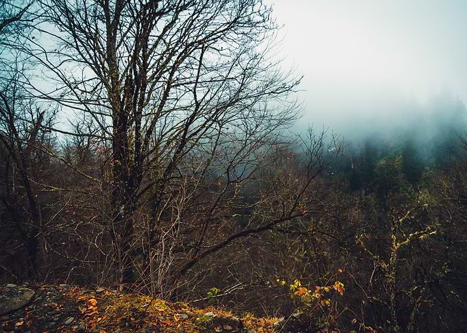 Naked Nature
