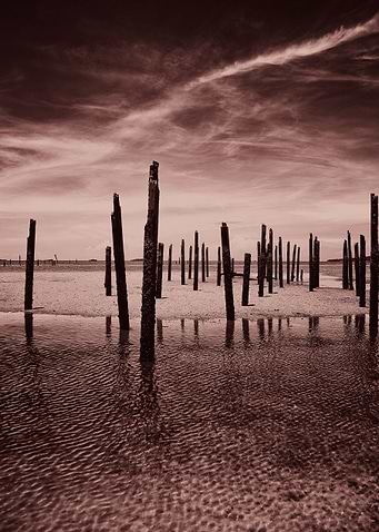 Seascape