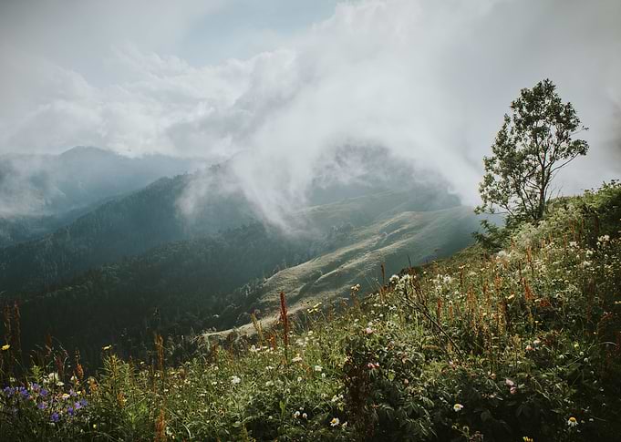 Misty Valley