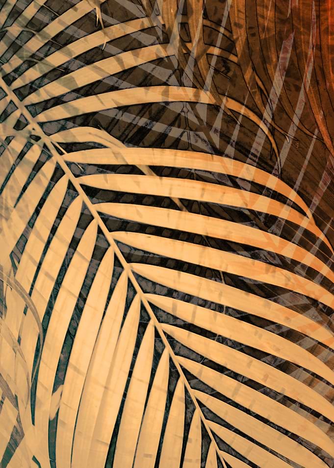 TROPICAL BEIGE ORANGE 2