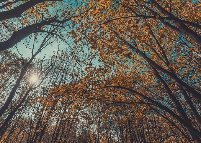 Autumn sky