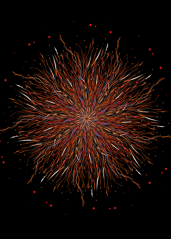 anemonia vegetalia 2