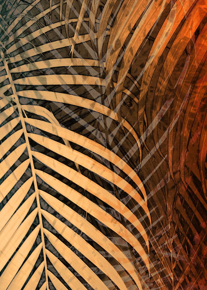 TROPICAL BEIGE ORANGE 1
