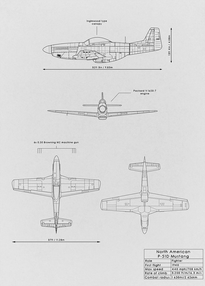 P51D Mustang