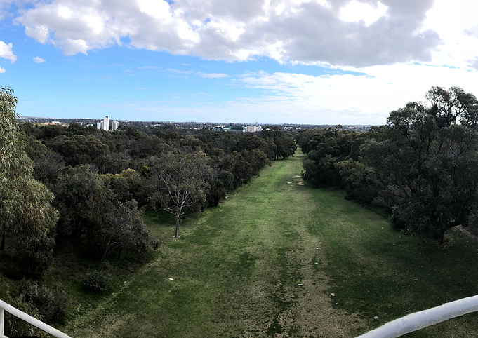 The Green Strip
