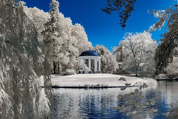 Infrared landscape