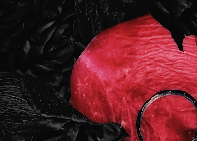 The Rose