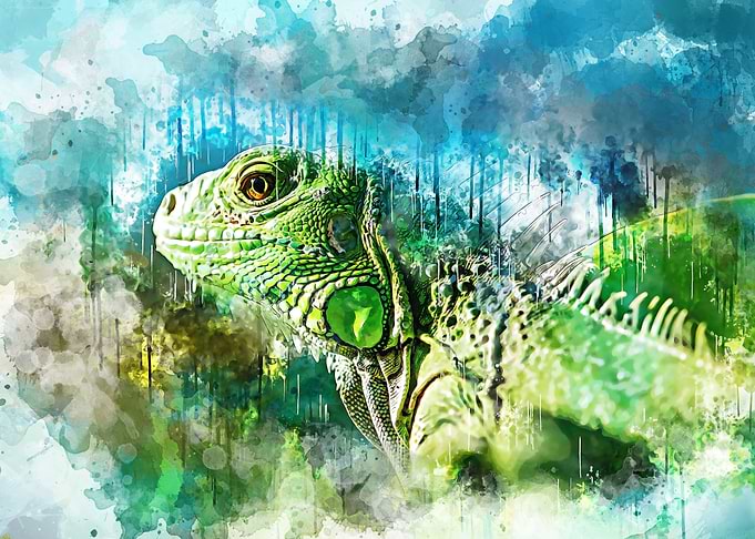 Chameleon